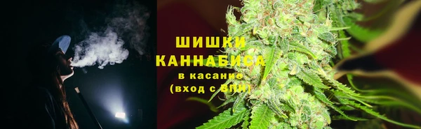 ешки Вяземский