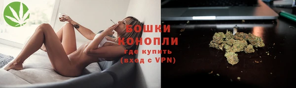 ешки Вяземский