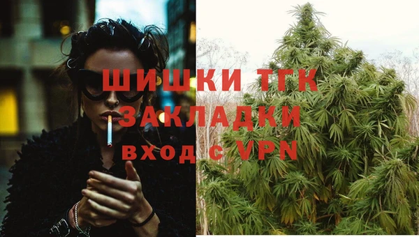прущий лед Вязьма