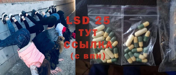 ешки Вяземский