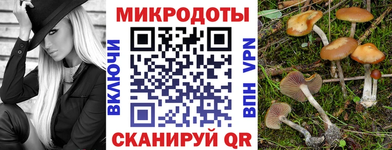 Псилоцибиновые грибы Psilocybine cubensis  Ветлуга 